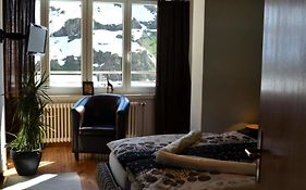 Hotel Badus Andermatt